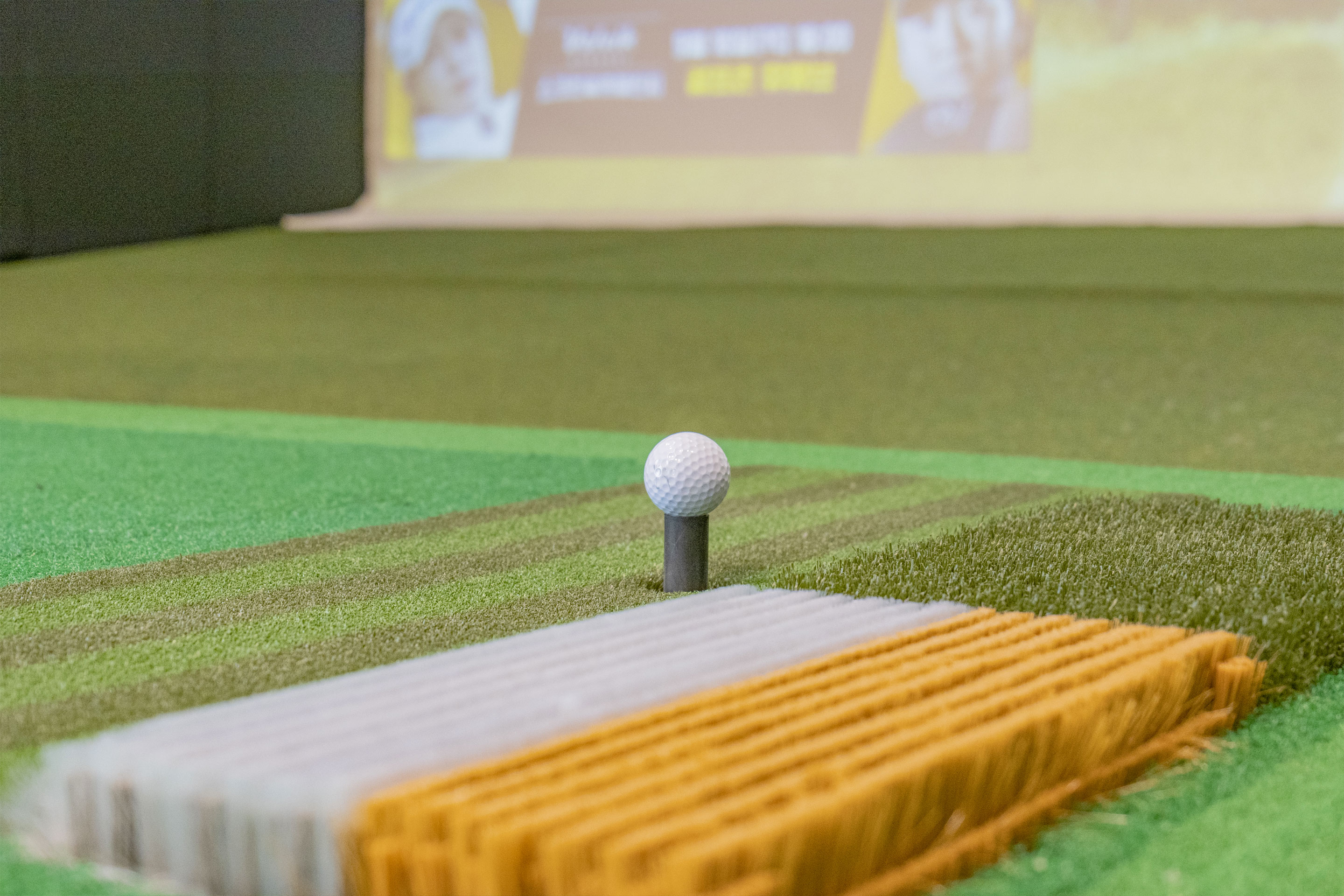 screen golf 소개 사진